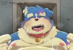  &lt;3 &lt;3_eyes 2022 96panda anthro blue_body blue_fur blush bodily_fluids canid canine canis collar cum cum_on_chest cum_on_face cum_on_tongue domestic_dog fur genital_fluids hi_res humanoid_hands kemono male mammal overweight overweight_male solo tongue tongue_out 
