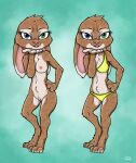  anthro bad_guy_cafe bikini blue_eyes breasts brown_body brown_fur clothing female fur genitals green_eyes heterochromia hi_res jake_thumpings kissing lagomorph leporid mammal nude pussy rabbit solo stripes swimwear ziegelzeig 