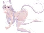  all_fours animal_ears ass bra cat_ears cat_girl cat_tail commentary full_body highres long_hair no_shoes original panties purple_eyes rx7649 simple_background tail thighhighs underwear underwear_only white_background white_bra white_legwear white_panties white_theme 