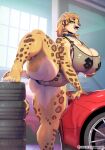  anthro big_breasts breasts car cleavage clothed clothing collar felid female fishnet_clothing fur huge_breasts licking licking_lips mammal nipple_tape pantheradraws pantherine pasties raised_leg solo spots spotted_body spotted_fur tape thick_thighs tongue tongue_out vehicle 