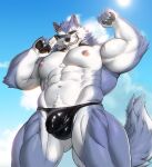  anthro beach biceps black_nose blue_body blue_fur body_hair bulge clothing ear_piercing ear_ring erect_nipples eyewear fangs freddy_(dislyte) fur happy_trail hi_res male muscular muscular_anthro muscular_male nipples pawpads pecs piercing rossciaco scar seaside sky solo sunglasses swimwear tagme thong triceps underwear white_body white_fur 