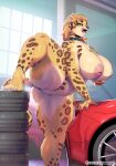  anthro big_breasts breasts car felid female fur genitals huge_breasts licking licking_lips mammal nude pantheradraws pantherine pussy raised_leg solo spots spotted_body spotted_fur thick_thighs tongue tongue_out vehicle 