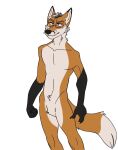  anthro canid canine coyot_fox fox hi_res lunchie_mutt male mammal red_fox solo 