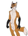  anthro canid canine coyot_fox fox hi_res lunchie_mutt male mammal red_fox solo 