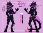  animal_genitalia anonymous_artist anthro balls canid canine canine_genitalia canis dire_wolf fully_sheathed genitals hi_res hybrid knot male mammal model_sheet neondragonjay orignal_character sergal sheath solo stripes 