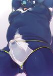  2022 anthro armpit_hair belly big_belly black_nose blue_body blue_fur blush bodily_fluids body_hair bulge clothed clothing erection erection_under_clothing fur hi_res kemono kuri_tama male mammal moobs navel nipples overweight overweight_male solo sweat 