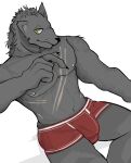  anthro black_nose blaidd_(elden_ring) boxers_(clothing) bulge canid canine canis clothed clothed/nude clothing dark_body dark_fur ears_up elden_ring fromsoftware fur fur_tuft green_eyes grey_body grey_fur hi_res lying male mammal muscular muscular_male nails navel nipples nude on_back on_bedding pink_nipples pomfypanda red_clothing scar scruffy sharp_nails simple_background solo teeth_showing tuft underwear video_games white_background wolf yaoi_hands 