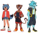  anthro beastman_(bna) brand_new_animal canid canine canis disney felid female kingdom_hearts lion lion_sora male mammal michiru_kagemori pantherine raccoon_dog riku_(kingdom_hearts) sora_(kingdom_hearts) square square_enix studio_trigger tanuki video_games wolf 