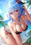  1girl absurdres ahoge bangs bare_arms beach bikini black_bikini blue_hair blue_sky breasts cleavage cloud cloudy_sky collarbone cowboy_shot eyebrows_visible_through_hair ganyu_(genshin_impact) genshin_impact goat_horns hair_between_eyes halterneck hand_in_own_hair highres horns large_breasts leaf leaning_forward monmo_mu o-ring o-ring_bikini parted_lips pink_eyes side-tie_bikini sidelocks sky solo string_bikini swimsuit thighs wet 