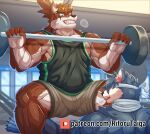  absurd_res anthro assassin_cartuja bodily_fluids cartuja exercise eyewear glasses gym hi_res male mammal muscular muscular_anthro muscular_male nipples patreon red_eyewear red_glasses ritorutaiga solo steam sweat vein veiny_muscles weightlifting workout 