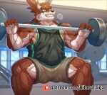  absurd_res anthro bodily_fluids cartuja exercise eyewear glasses gym hi_res male mammal muscular muscular_anthro muscular_male nipples patreon red_eyewear red_glasses ritorutaiga solo steam sweat vein veiny_muscles weightlifting workout 