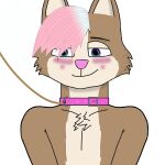  anthro canid canine collar fox girly hi_res male mammal qmannen123 solo 