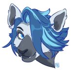  anthro blue_eyes blue_hair fangs female hair hair_over_eye headshot_portrait kidcub lemur looking_at_viewer mammal one_eye_obstructed portrait primate short_hair simple_background solo strepsirrhine taylor_(obessivedoodle) white_background 