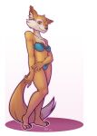  alpha_channel anthro canid canine clothing female fox hi_res lingerie mammal solo 