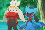  absurd_res anthro blue_body blue_fur blush collar duo fur hi_res lagomorph leash leporid mammal nintendo omynoh petplay pok&eacute;mon pok&eacute;mon_(species) rabbit raboot red_eyes riolu roleplay video_games white_body white_fur 