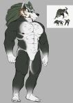  anthro male solo zuwardo 