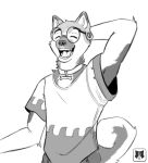  absurd_res akita akita_inu anthro canid canine canis clothing collar collarbone digital_drawing_(artwork) digital_media_(artwork) domestic_dog fur gael_akita half_body hi_res kathai male male/male mammal shy_pose sketch solo spitz spots spotted_body spotted_fur 