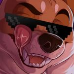  1:1 black_nose canid canine canis close-up deal_with_it domestic_dog eyebrows face_lick fangs feral fur licking male mammal orange_body orange_fur pixel_sunglasses profile_picture rags_(youtuber) shiba_inu smug solo spitz teeth tongue tongue_out unknown_artist white_body white_fur youtuber 