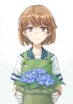  1girl apron bandaid bandaid_on_cheek bandaid_on_face bangs blue_flower blue_sailor_collar brown_eyes brown_hair closed_mouth eyebrows_visible_through_hair flower flower_pot gloves green_apron hair_between_eyes highres holding holding_pot kantai_collection leaf looking_at_viewer oboro_(kancolle) pot sailor_collar school_uniform serafuku short_hair short_sleeves simple_background solo taruya white_background white_gloves 