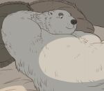  2022 anthro bed belly black_nose fur furniture gadoran kemono lying male mammal nipples overweight overweight_male pillow polar_bear solo ursid ursine white_body white_fur 