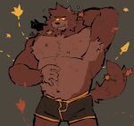  anthro armpit_tuft autumn boxers_only brown_body brown_fur canid canine canis clothing domestic_cat felid feline felis fur hi_res leaf leaves_in_hair male mammal muscular muscular_male red_body red_fur scruffy soildweller solo underwear were werecanid werecanine werewolf wolf 