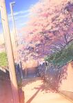  blue_sky cherry_blossoms cloud commentary_request highres no_humans original outdoors power_lines road scenery shadow sky smile_(qd4nsvik) stairs street tree utility_pole 