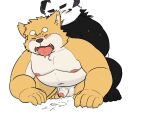  2022 5:4 anthro balls belly black_body blush bodily_fluids canid canine canis cum domestic_dog duo genital_fluids genitals giant_panda humanoid_genitalia humanoid_hands humanoid_penis kemono male male/male mammal moobs navel nipples overweight overweight_male penis sangguri_32 simple_background sweat ursid white_background white_body young 