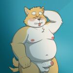  1:1 2021 absurd_res anthro balls belly big_belly blush bodily_fluids canid canine canis domestic_dog erection eyes_closed genital_fluids genitals hi_res humanoid_genitalia humanoid_hands humanoid_penis kemono male mammal moobs navel nipples overweight overweight_male penis precum sangguri_32 solo tail_motion tailwag tongue tongue_out 