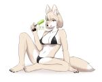  2021 anthro bikini black_nose blep breasts canid canine cleavage clothed clothing female food fox fur hair hi_res holding_food holding_object kemono korean_text korfiorano mammal multicolored_body multicolored_fur nipple_outline popsicle solo spread_legs spreading swimwear tan_body tan_fur tan_hair text tongue tongue_out translation_request two_tone_body two_tone_fur white_body white_fur yellow_eyes 