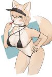  2022 anthro bikini black_nose blush breasts camel_toe canid canine cleavage clothed clothing eyewear female fox fur genital_outline glasses hair hat headgear headwear hi_res kemono korfiorano leaning leaning_forward looking_at_viewer mammal multicolored_body multicolored_fur pussy_outline round_glasses solo swimwear tan_body tan_fur tan_hair two_tone_body two_tone_fur whistle_(object) white_body white_fur yellow_eyes 