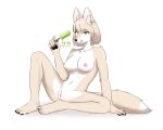  2021 anthro areola black_nose blep breasts canid canine female food fox fur genitals hair hi_res holding_food holding_object kemono korean_text korfiorano mammal multicolored_body multicolored_fur nipples nude popsicle pussy solo spread_legs spreading tan_body tan_fur tan_hair text tongue tongue_out translation_request two_tone_body two_tone_fur white_body white_fur yellow_eyes 