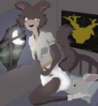  absurd_res angry anthro beastars bed canid canine canis clothing diaper duo facesit facesitting feces female female/female footwear furniture hare haru_(beastars) hi_res juno_(beastars) lagomorph leporid mammal messy_diaper night pooping rabbit revenge scat socks soiled_diaper soiling soiling_diaper vale944 wolf 