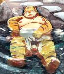  2018 absurd_res anthro balls bathing belly big_belly blush detailed_background felid flaccid genitals hamagiato hi_res humanoid_genitalia humanoid_hands humanoid_penis kemono male mammal moobs nipples overweight overweight_male pantherine penis solo tiger water 