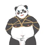  2022 anthro belly black_body black_nose blush bound genitals giant_panda hi_res male mammal nipples overweight penis rope solo thepanda0309 ursid white_body young 