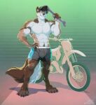  abs anthro bottomwear canid canine canis clothed clothing domestic_dog gradient_background hat headgear headwear hi_res husky looking_at_viewer male mammal motorcycle muscular nordic_sled_dog pattern_background paul_(majin764) shorts simple_background smile solo spitz stoopix teeth_showing tools topless vehicle wrench 