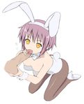  animal_ears bad_id bad_pixiv_id bunny_ears bunny_girl bunny_tail bunnysuit caressing_testicles fellatio flat_chest handjob kneeling nagato_yuki nipples nnyu oral orange_eyes pantyhose penis purple_hair short_hair solo_focus suzumiya_haruhi_no_yuuutsu tail testicles 