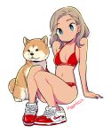  1girl artist_name bikini blue_eyes breasts brown_hair cleavage collarbone dog hair_behind_ear mago medium_hair nike original red_bikini shoes sitting small_breasts sneakers solo swimsuit white_background 