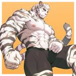  1boy abs absurdres animal_ears arknights bara biceps black_fur black_underwear blue_eyes boxers bulge clenched_hands colored_skin commentary cowboy_shot dutch_angle from_side furry furry_male highres knee_up male_focus male_underwear mountain_(arknights) muscular muscular_male navel nipples obliques orange_background pectorals scar scar_on_arm scar_on_cheek scar_on_face scar_on_hand scar_on_leg scar_on_stomach scar_on_tail serious short_hair solo standing standing_on_one_leg striped_fur tail tail_raised thighs tiger_boy tiger_ears tiger_stripes tiger_tail tight topless_male uiokv underwear white_fur white_nails white_skin 