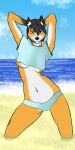  anthro azerty_12 black_hair black_nose breasts canid canine clothing crop_top female fox hair mammal pinup pose shirt solo topwear under_boob white_eyes 