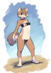  2022 anthro ball beach belly_tuft biped black_nose blush blush_lines brown_body brown_fur canid canine cheek_tuft chest_tuft choker claws clothed clothing countershade_fur countershade_torso countershading crotch_tuft ear_piercing ear_stud elbow_tuft facial_tuft female fox fuel_(artist) fur gloves_(marking) grey_body grey_fur gris_swimsuit head_tuft hi_res holding_ball holding_object inner_ear_fluff jewelry knee_tuft leg_markings leg_tuft looking_at_viewer mammal markings meme meme_clothing necklace one-piece_swimsuit piercing seaside sky smile socks_(marking) solo standing swimwear taylor_(fuel) toe_claws translucent translucent_clothing translucent_swimwear tuft volleyball_(ball) white_body white_countershading white_fur 
