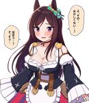  1girl animal_ears blush breasts brown_hair cleavage commentary_request dress eishin_flash_(umamusume) frilled_dress frills german_clothes hair_between_eyes hair_ribbon highres horse_ears horse_girl large_breasts long_hair looking_at_viewer mejiro_dober_(umamusume) multicolored_eyes open_mouth purple_eyes ribbon solo takiki translation_request umamusume 