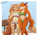  anthro apogee_(tinygaypirate) beach bikini blush breasts brown_body brown_eyes brown_fur brown_hair canid canine canis cleavage clothed clothing digital_media_(artwork) dipstick_tail domestic_dog duo ear_piercing ear_ring english_text facial_piercing female fingers fox freckles fur green_eyes hair hand_on_butt hand_on_shoulder hi_res long_hair mammal markings midriff navel open_mouth orange_body orange_fur outside patricia_mac_sionnach piercing pigtails sand seaside sign sky smile swimwear tail_markings text text_on_sign topwear tuft water zevies 