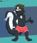  boxers_(clothing) bulge clothed clothing fur hair hi_res looking_at_viewer mammal mephitid nutty_bo simple_background skunk solo standing topless underwear 