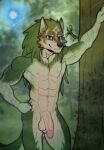  anthro anthrofied canid canine canis flaccid forest genitals humanoid_genitalia link_(wolf_form) male mammal nintendo nubruki_(artist) nude outside penis plant solo the_legend_of_zelda tree vein veiny_muscles veiny_penis video_games visible_nipples wolf 