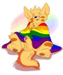  balls blush bodily_fluids erection genital_fluids genitals hi_res humanoid_genitalia humanoid_penis lgbt_history_month lgbt_pride male orlandofox penis precum sitting solo wearing_flag 