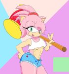  abs aged_up amy_rose anthro bottomwear breasts clothing crop_top denim denim_clothing digital_drawing_(artwork) digital_media_(artwork) eulipotyphlan female glistening glistening_body glistening_skin hammer hedgehog hi_res jeans mammal open_mouth pants roosk sega shirt soft_abs solo sonic_the_hedgehog_(series) tank_top thick_thighs tools topwear under_boob 