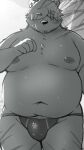  2022 anthro belly big_belly blush bodily_fluids bulge clothing hair hair_over_eyes hi_res humanoid_hands kemono male mammal menmen_kesinn moobs navel nipples overweight overweight_male palm_tree plant solo sweat tree underwear ursid 