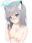  1girl absurdres animal_ear_fluff animal_ears bangs blue_archive blue_eyes blush breasts cat_ears embarrassed eyebrows_visible_through_hair grey_hair halo head_tilt highres holding holding_hair long_hair looking_at_viewer medium_breasts nipples nose_blush nude shiroko_(blue_archive) simple_background solo upper_body white_background yukamikayu 