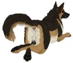  2022 aliena-cordis alpha_channel anatomically_correct anatomically_correct_anus anus backsack balls brown_body brown_fur butt canid canine canis crossed_legs digital_media_(artwork) domestic_dog feral fur genitals german_shepherd herding_dog looking_back lying male mammal north_shepherd on_front pastoral_dog pawpads paws perineum rear_view red_eyes solo tan_body tan_fur teeth whiskers white_body white_fur 
