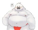  2022 anthro asian_clothing belly big_belly black_eyes blush clothing dot_eyes dragon_night800 east_asian_clothing fundoshi hi_res japanese_clothing kemono male mammal marine moobs navel nipples overweight overweight_male pinniped question_mark red_clothing red_fundoshi red_underwear seal simple_background solo underwear white_background white_body 